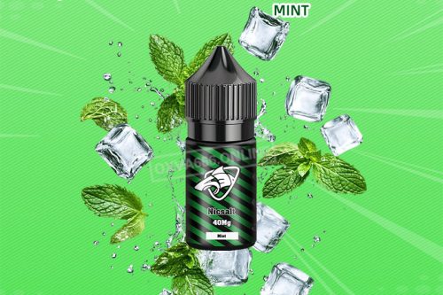 SALT-SHAQ鯊克彩鯊電子煙油薄荷菸油